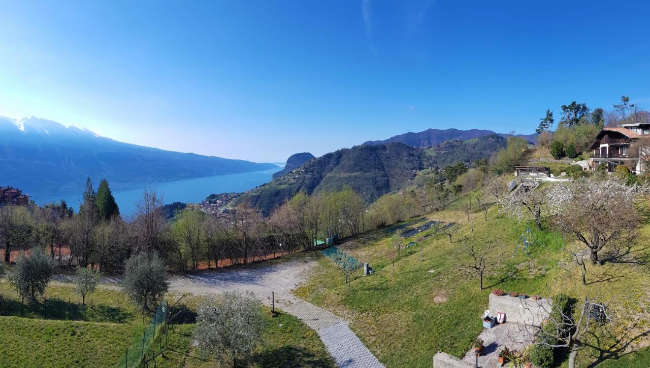 Teresa Campi Apartments Lake View By Gardadomusmea Tremosine Екстериор снимка